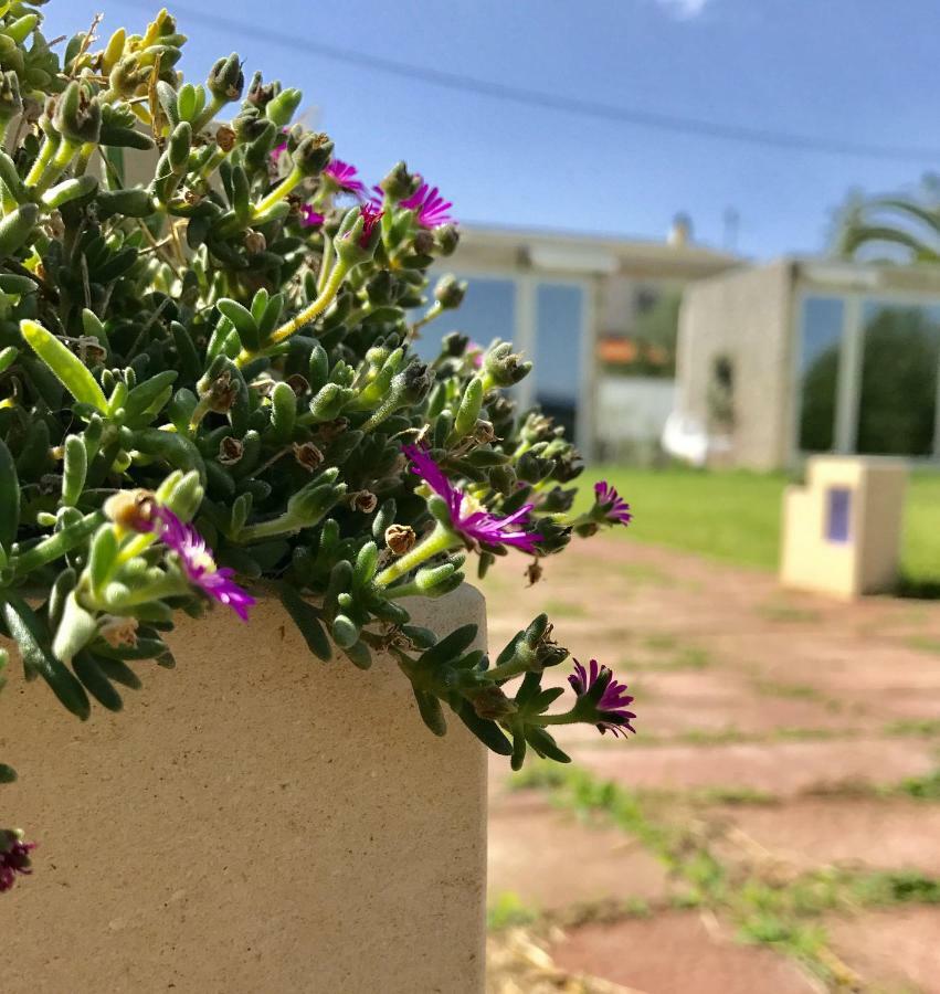 Degli Angeli Bed & Breakfast *